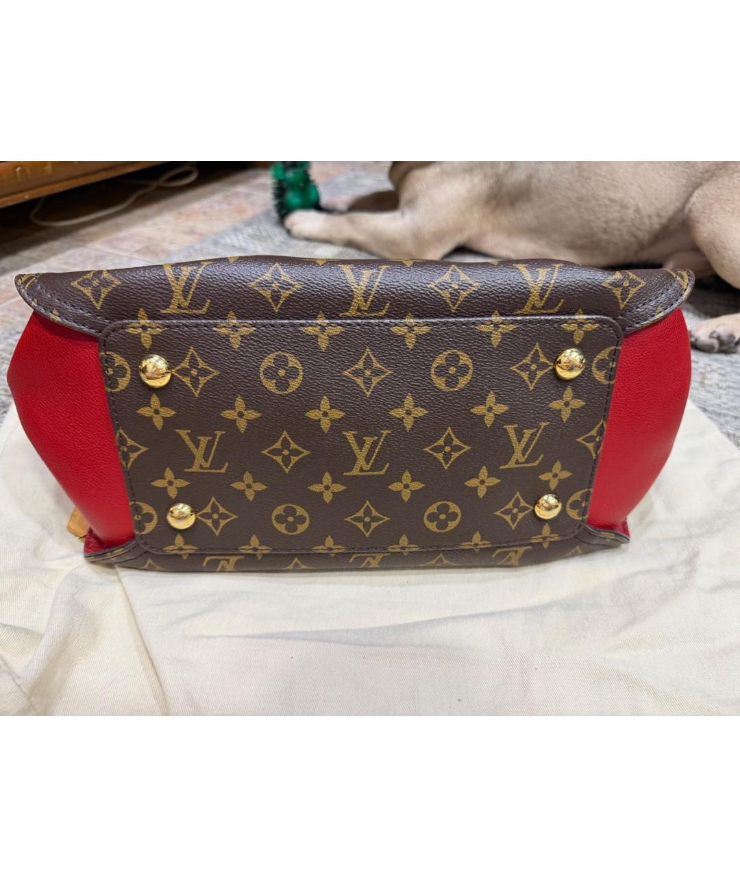 LOUIS VUITTON Коричневая кожаная сумка через плечо, фото 5