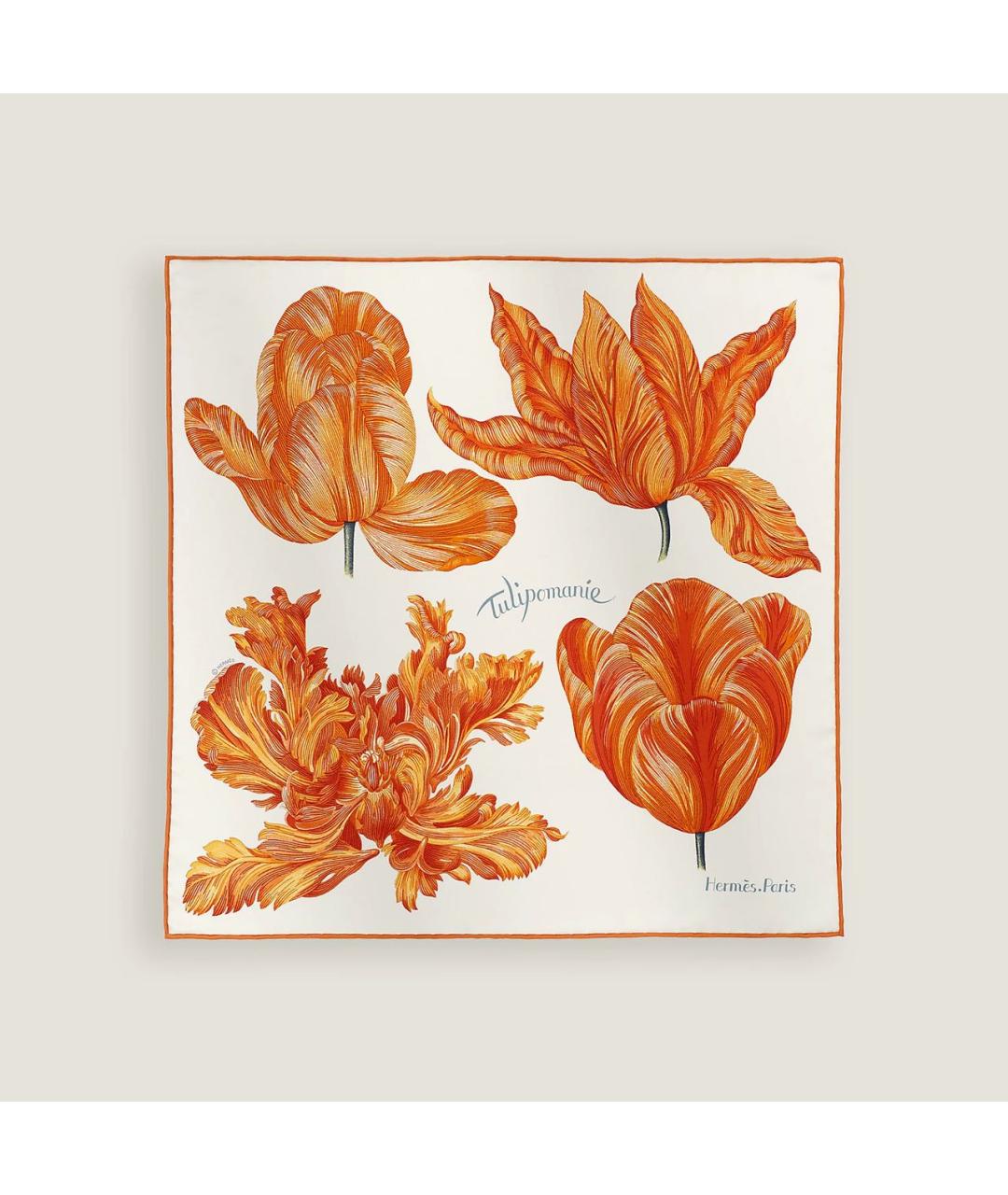 HERMES Мульти шелковый платок, фото 5