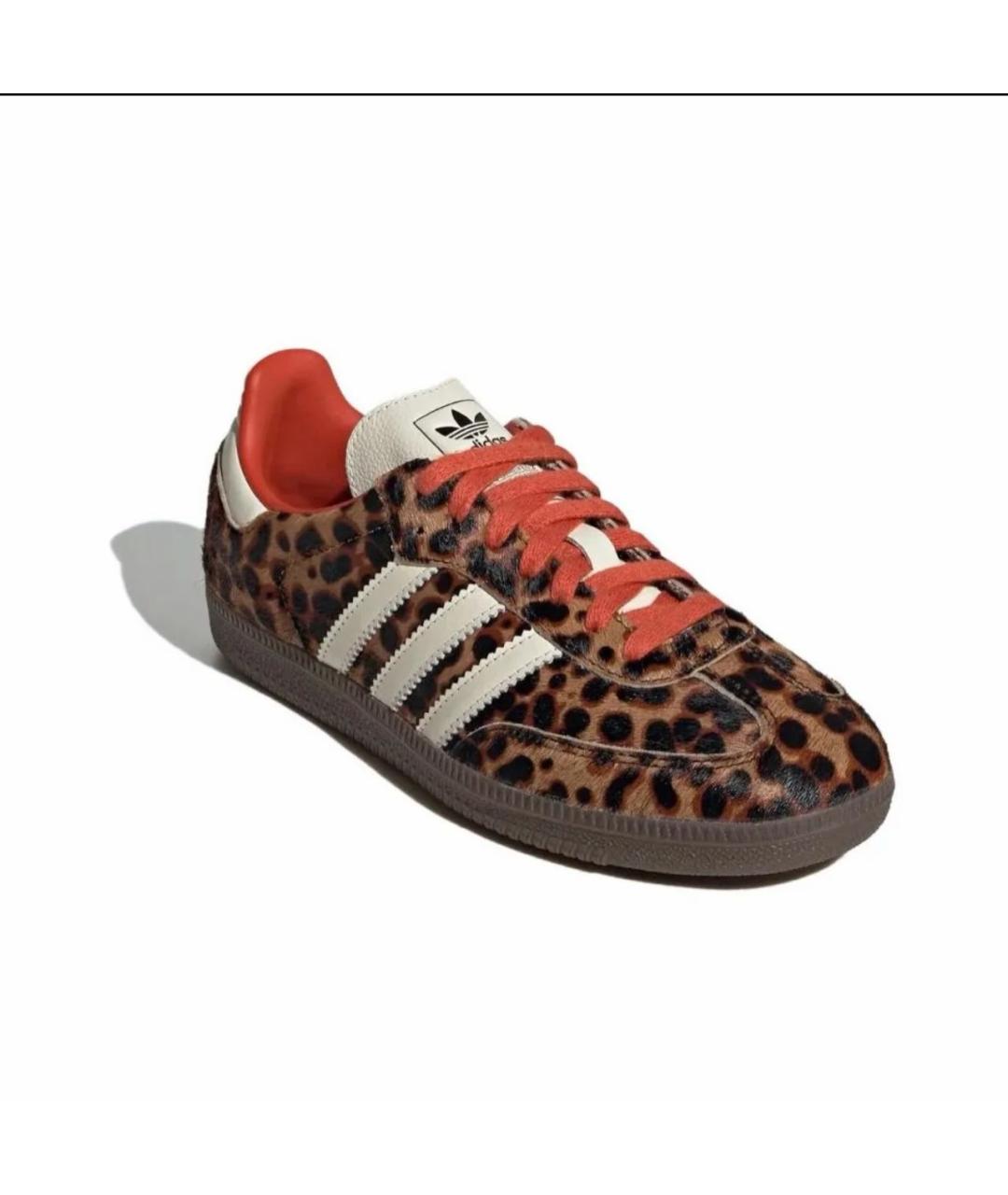 ADIDAS Мульти кеды, фото 4