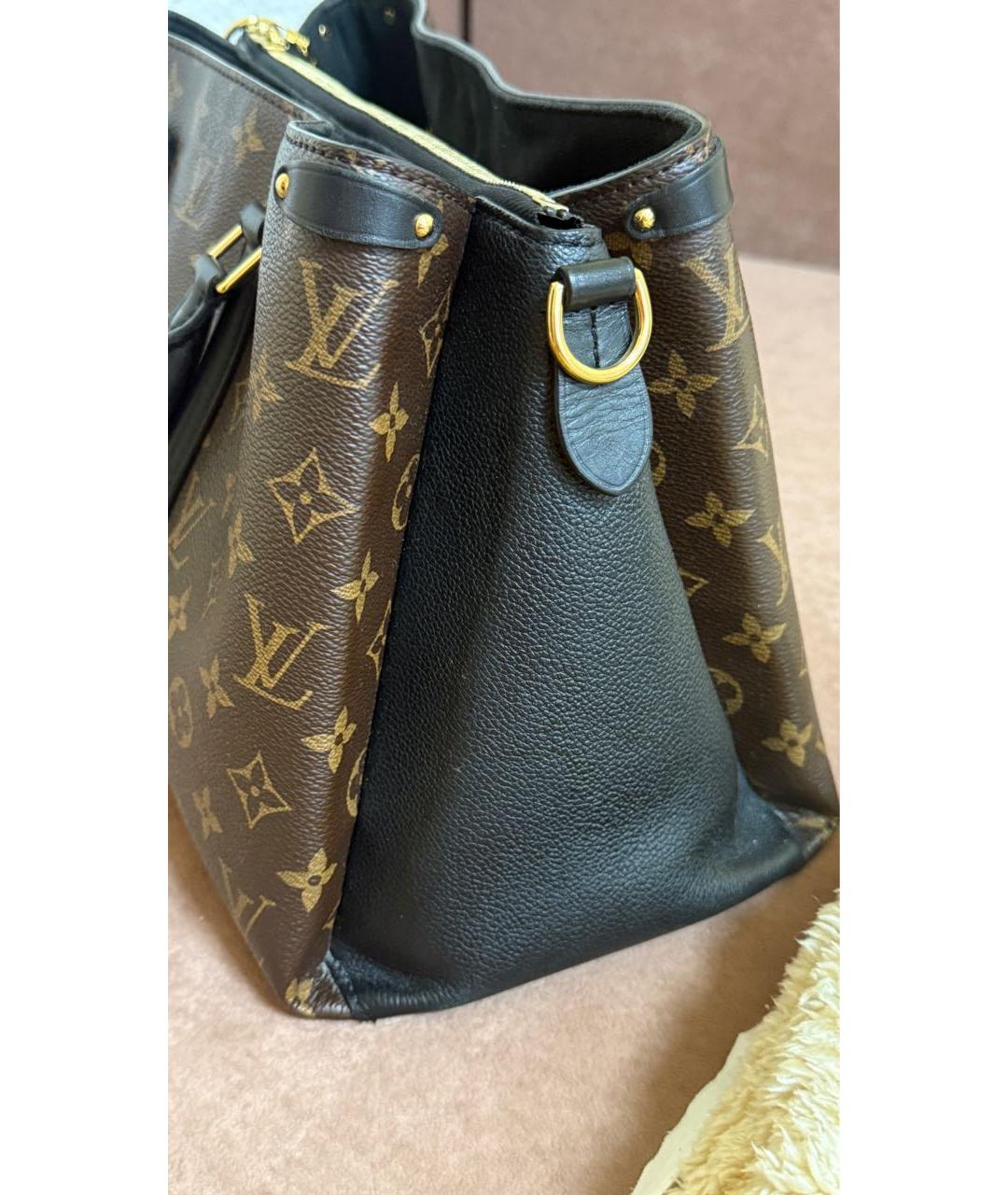 LOUIS VUITTON Коричневая сумка тоут, фото 3