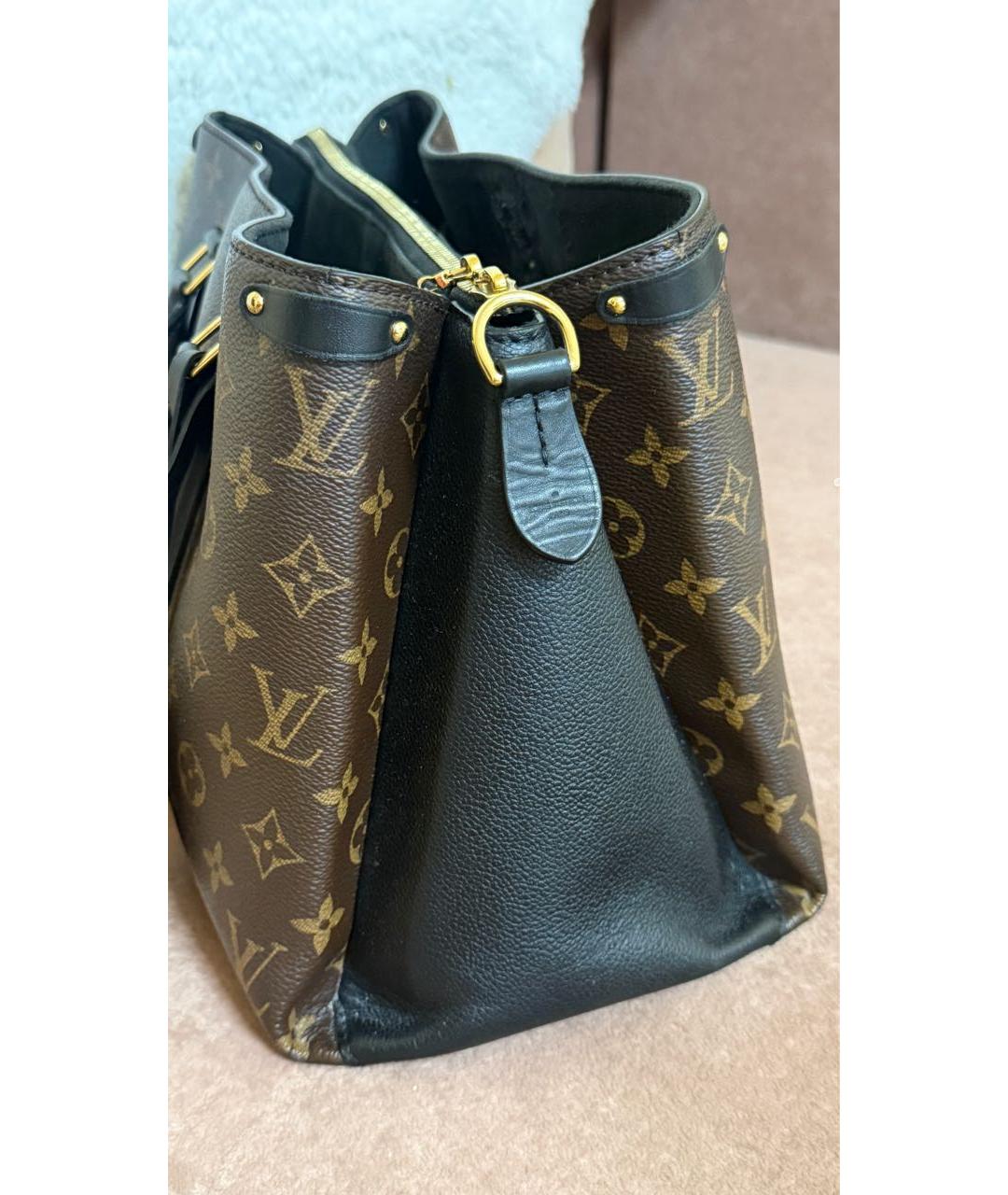 LOUIS VUITTON Коричневая сумка тоут, фото 4