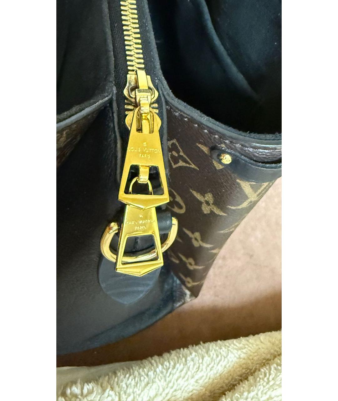 LOUIS VUITTON Коричневая сумка тоут, фото 5