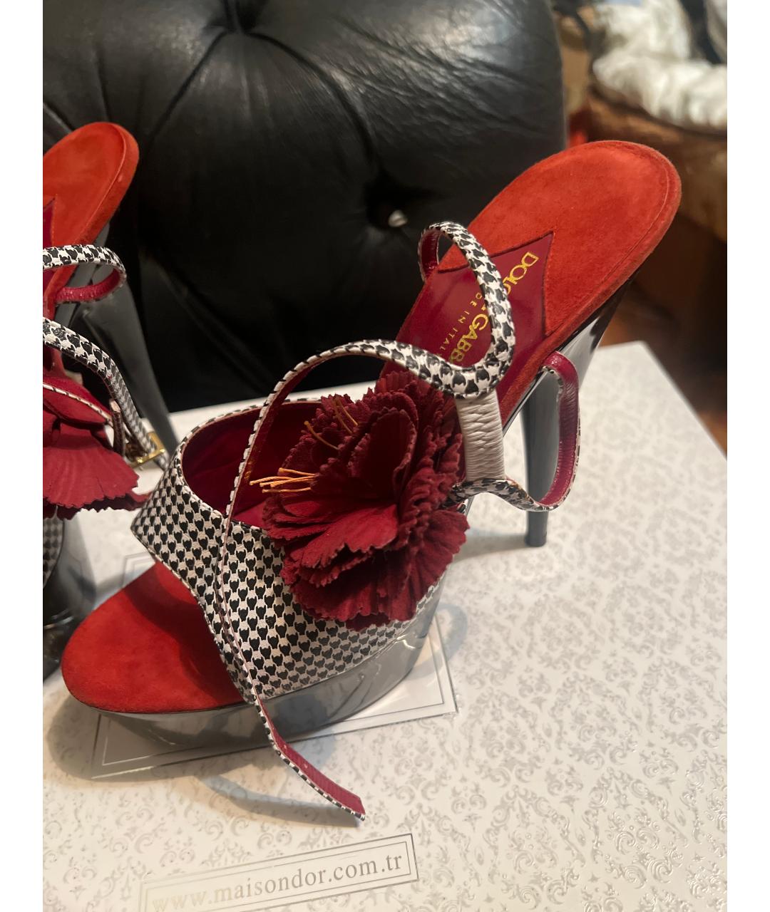 DOLCE&GABBANA Мульти кожаные туфли, фото 6