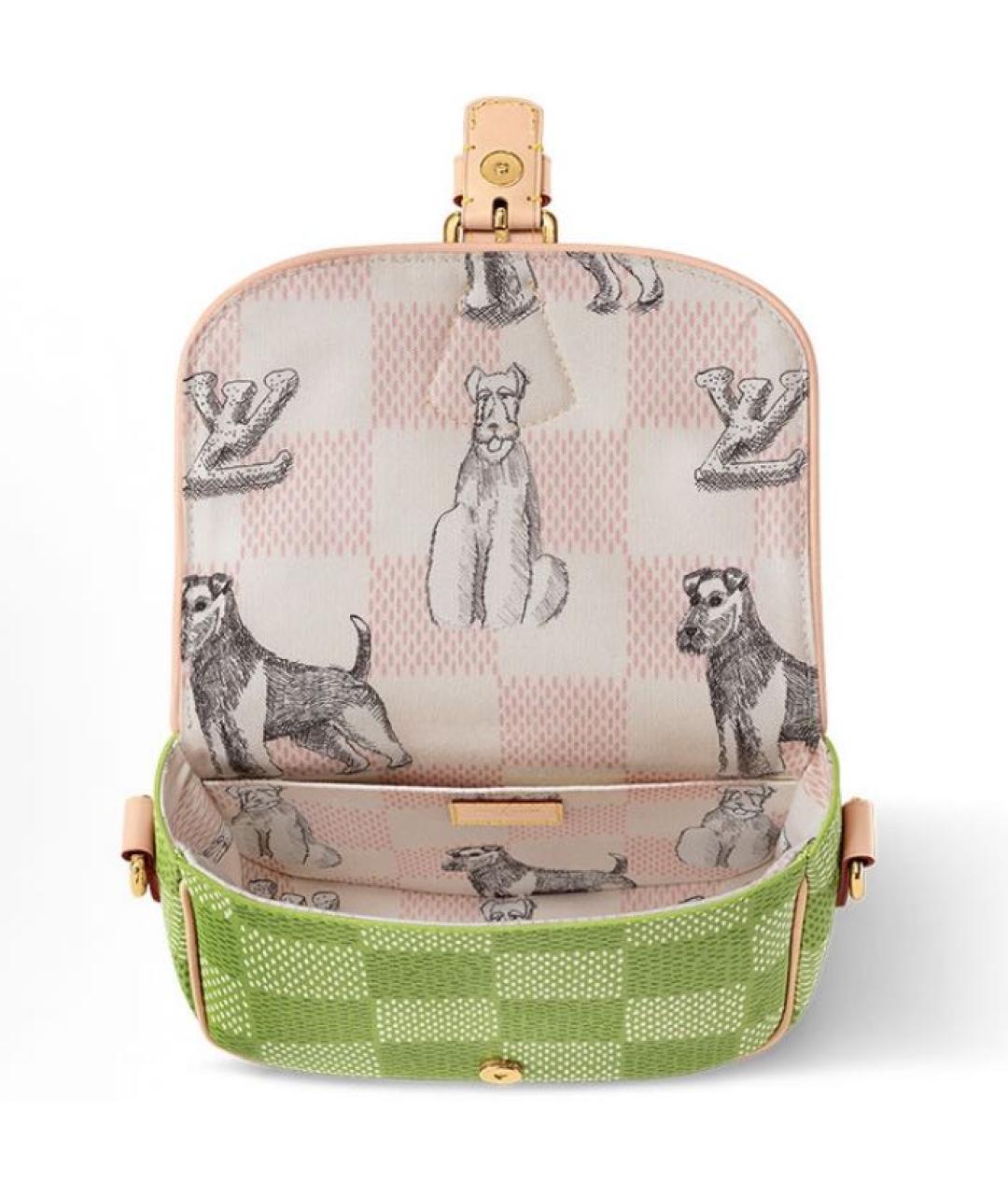 LOUIS VUITTON Салатовая кожаная сумка на плечо, фото 3