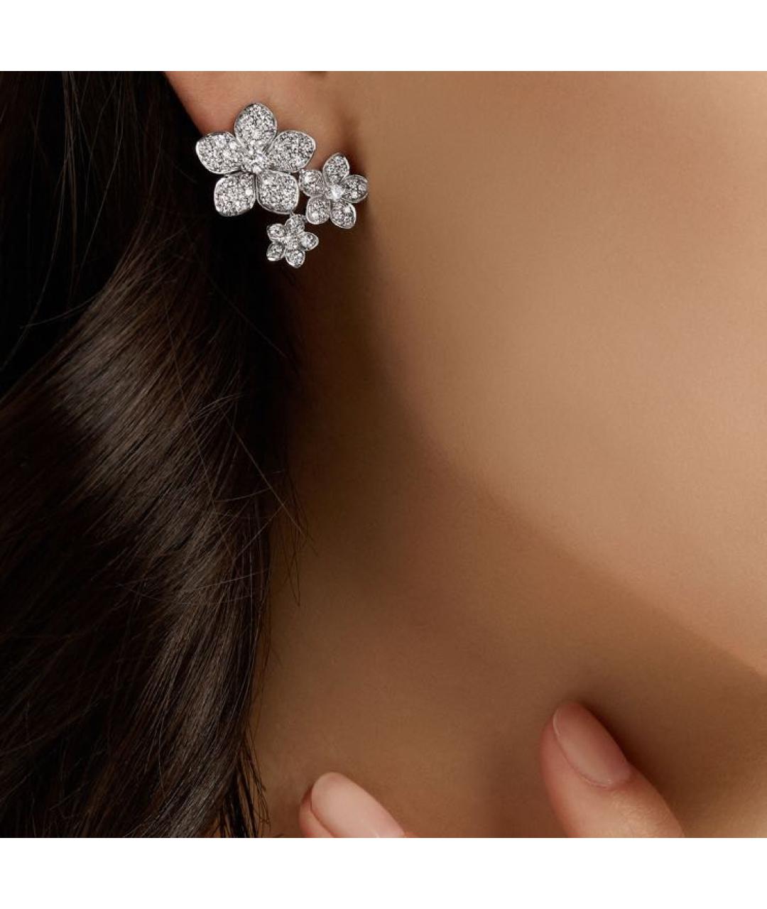 GRAFF Серебряные платиновые серьги, фото 2