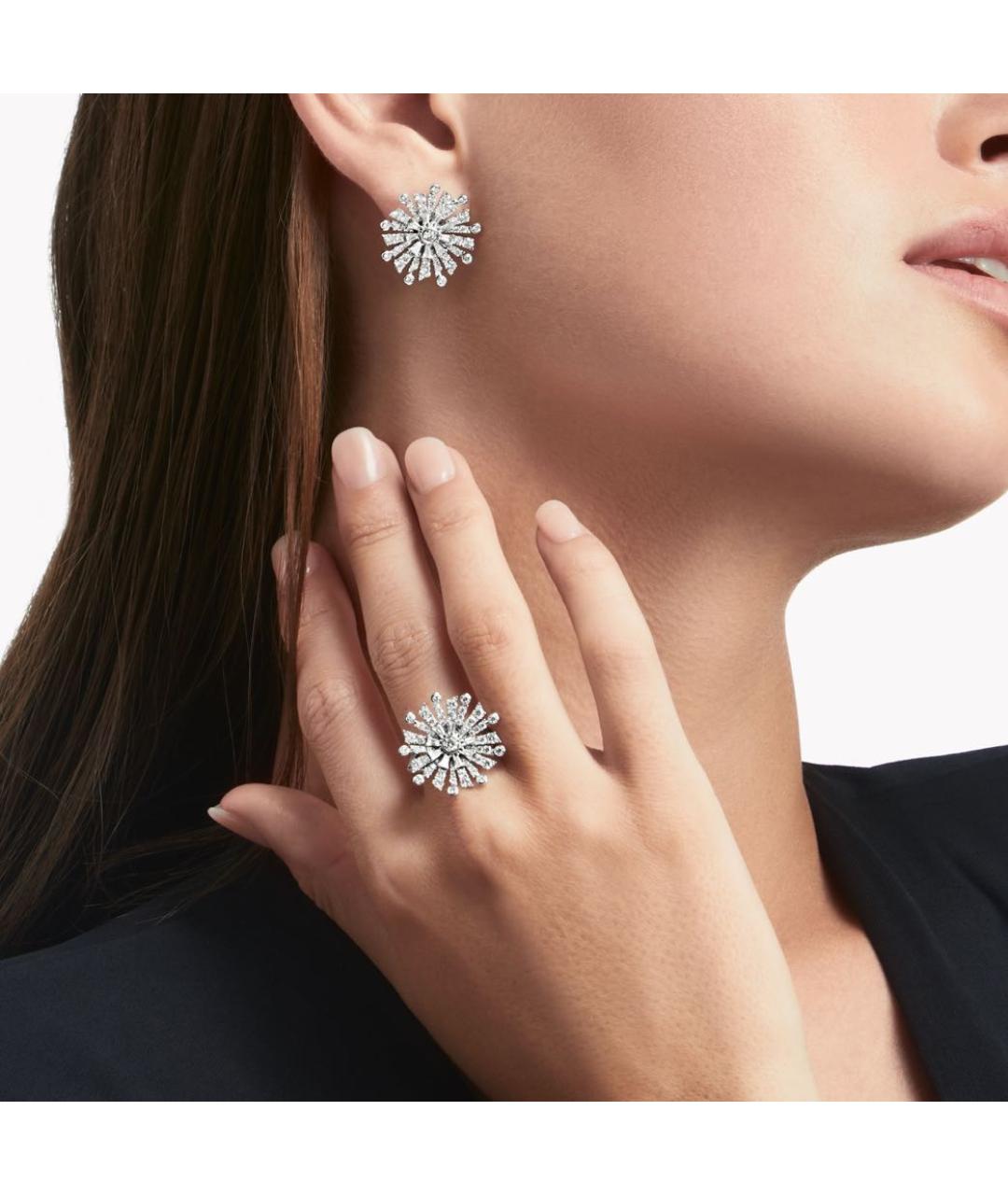 GRAFF Серебряные платиновые серьги, фото 2