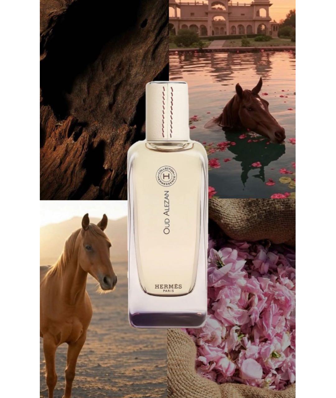 HERMES BEAUTY Аромат для женщин, фото 3