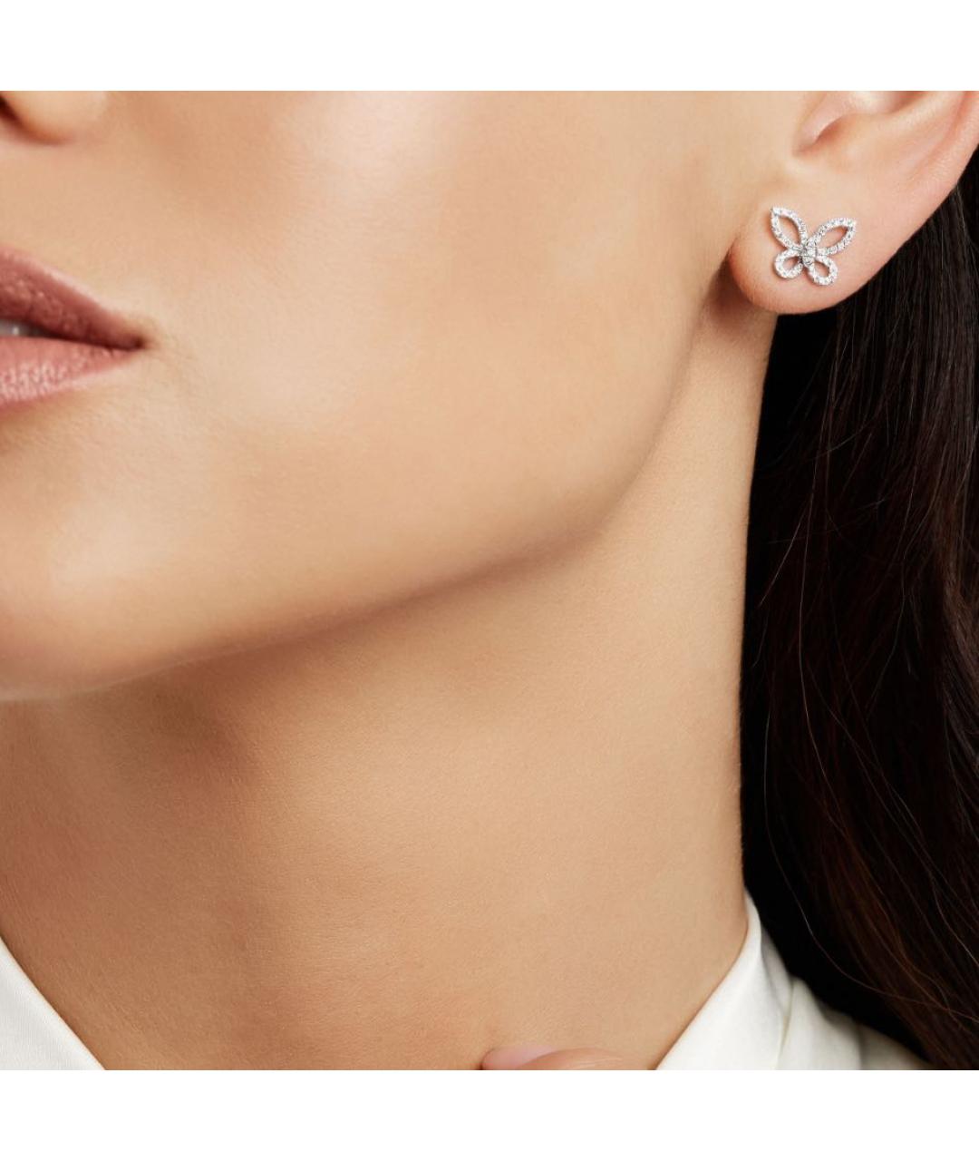 GRAFF Серебряные платиновые серьги, фото 2