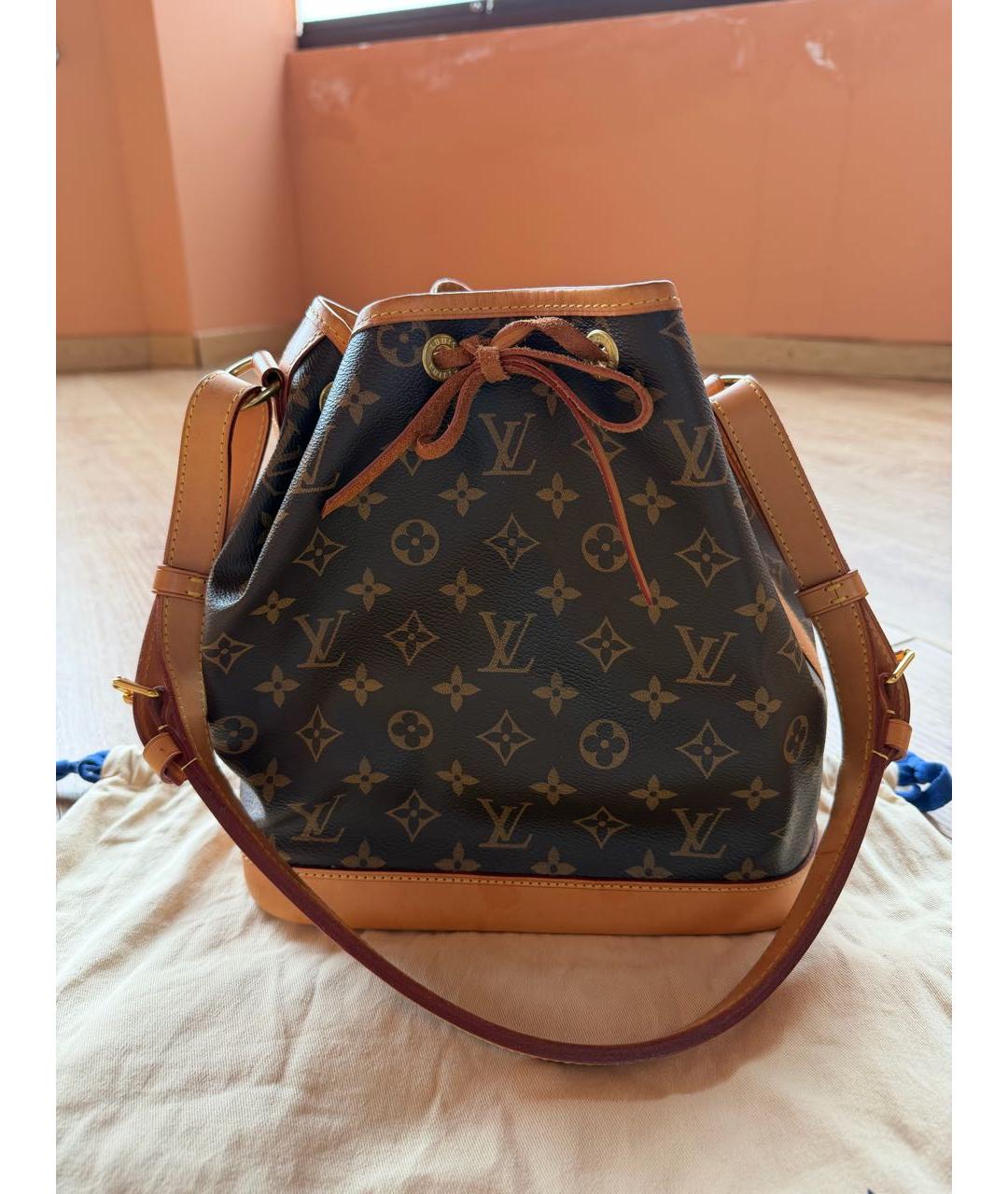 LOUIS VUITTON Коричневая сумка тоут, фото 3