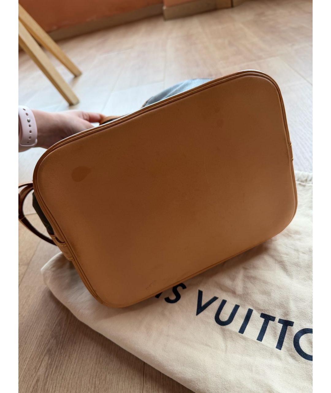 LOUIS VUITTON Коричневая сумка тоут, фото 5