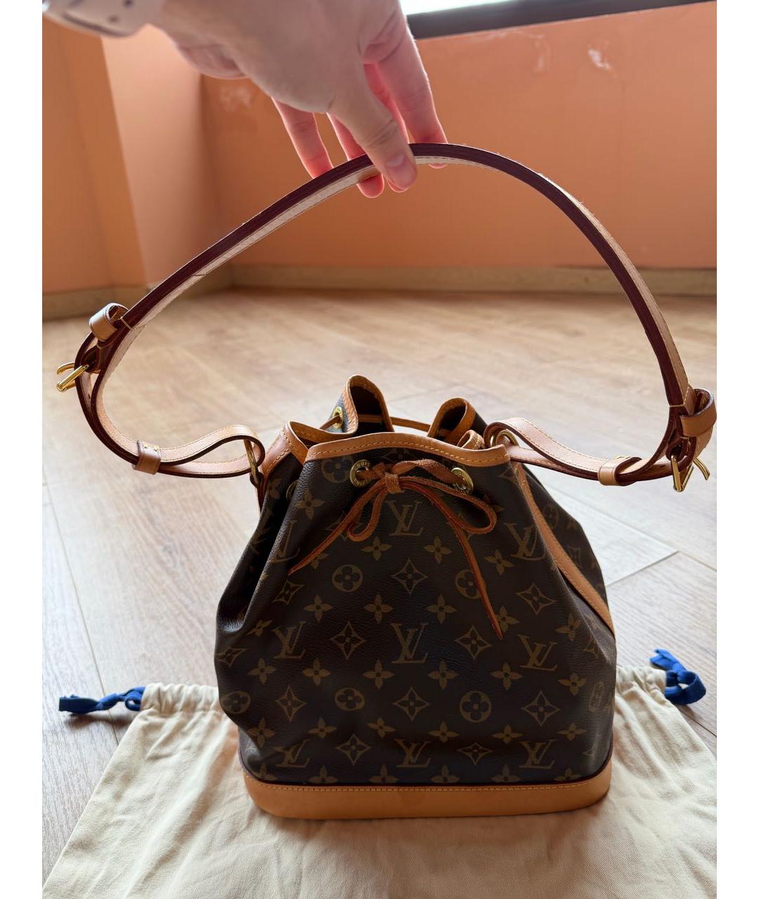 LOUIS VUITTON Коричневая сумка тоут, фото 2