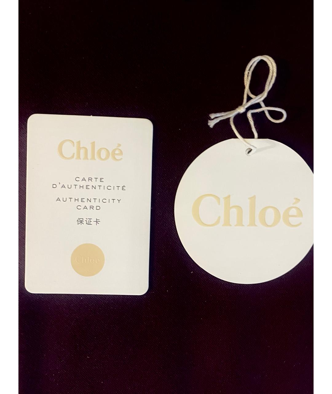 CHLOE Черная кожаная сумка через плечо, фото 6