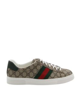 GUCCI Низкие кроссовки / кеды
