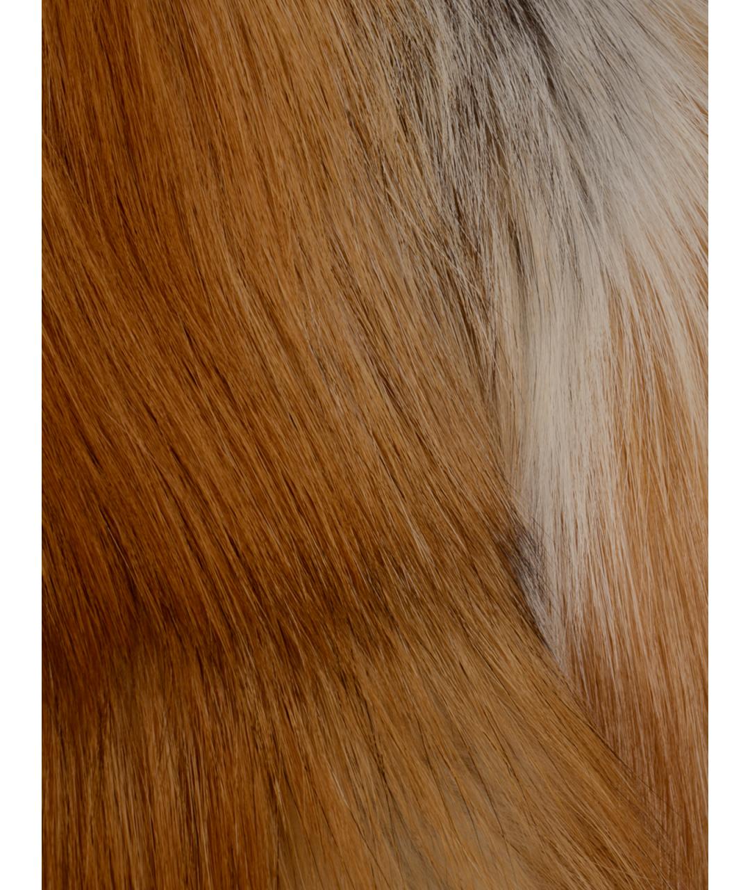 YVES SALOMON Коричневая меховая шуба, фото 3