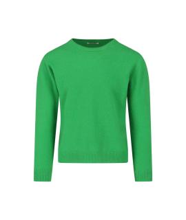 AURALEE Джемпер / свитер