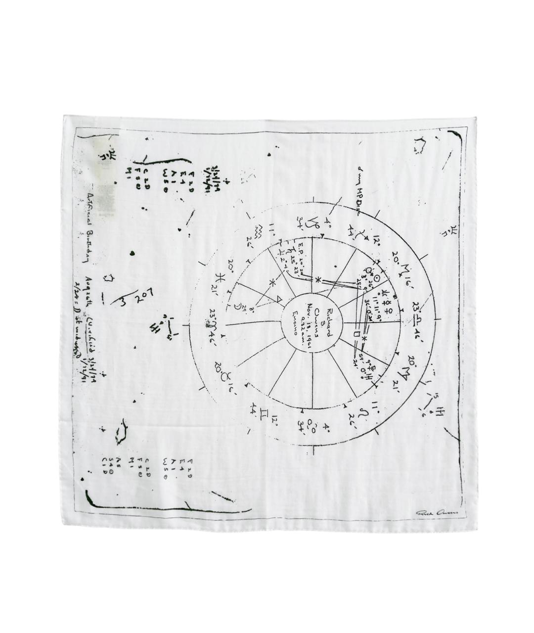 RICK OWENS Белый хлопковый шарф, фото 3