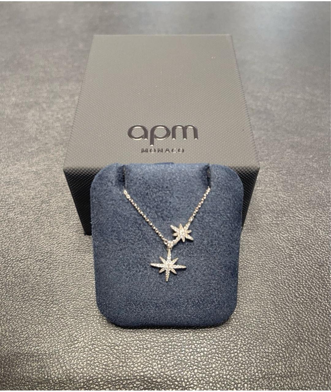 APM Monaco Серебрянный серебряный комплект, фото 4