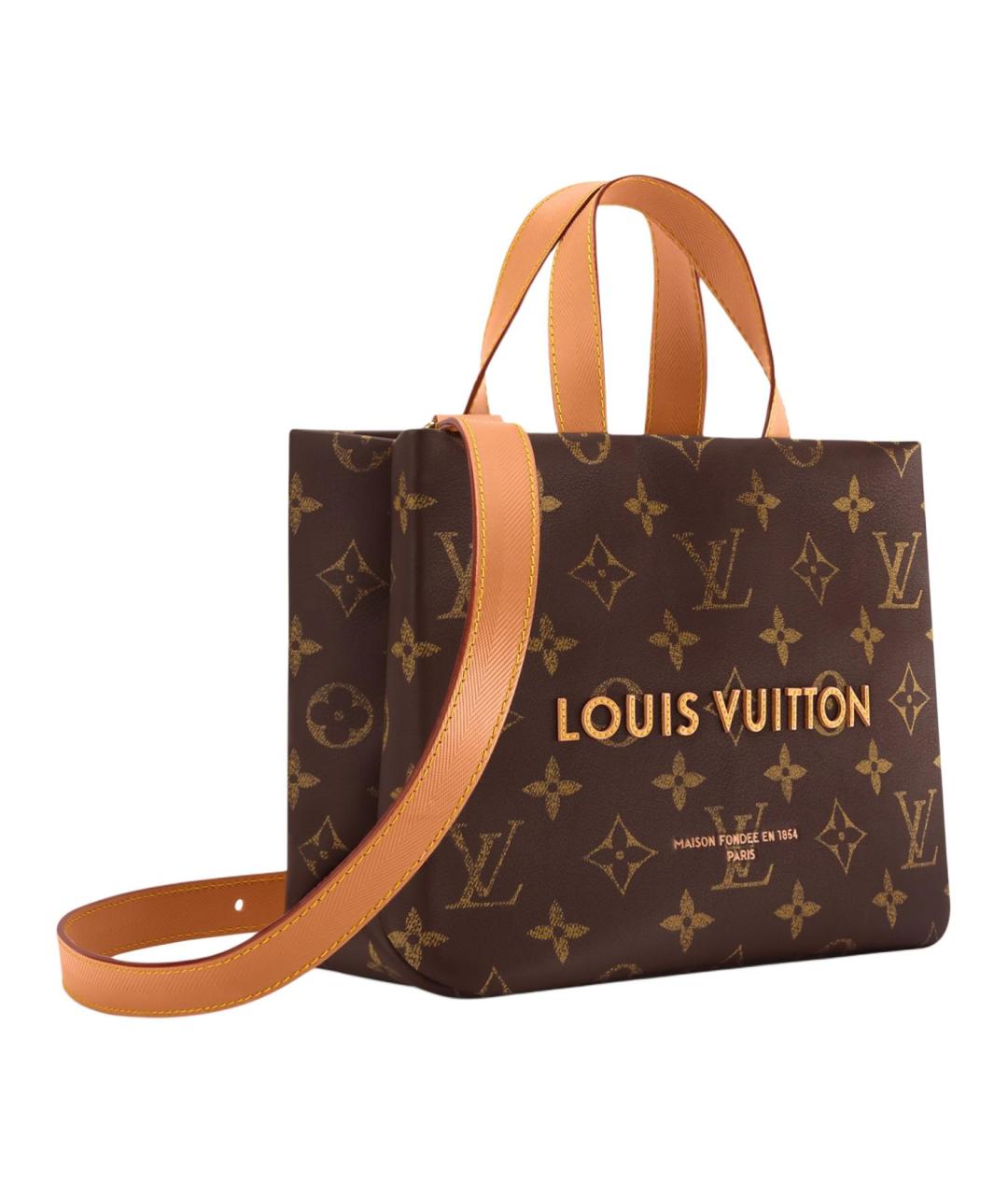 LOUIS VUITTON Коричневая сумка тоут, фото 2