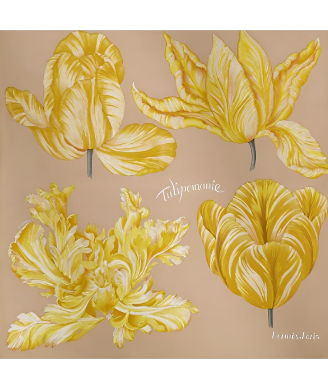 HERMES Бежевый шелковый шарф, фото 2