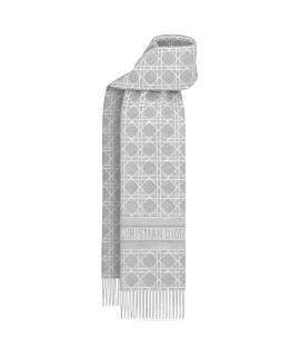 CHRISTIAN DIOR Шарф