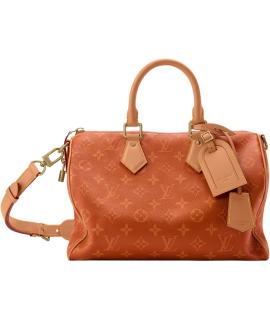 LOUIS VUITTON Дорожная и спортивная сумка