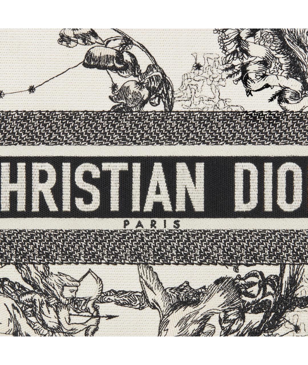 CHRISTIAN DIOR Бежевая сумка через плечо, фото 5