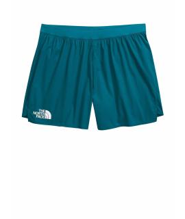 THE NORTH FACE Шорты