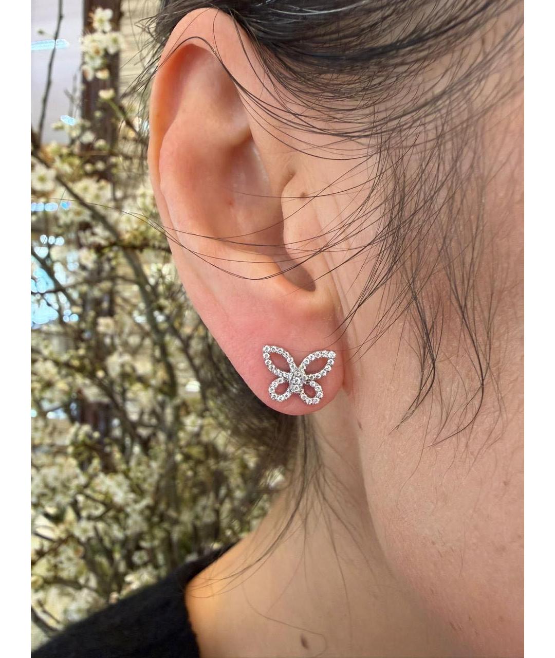 GRAFF Серебряные серьги из белого золота, фото 2