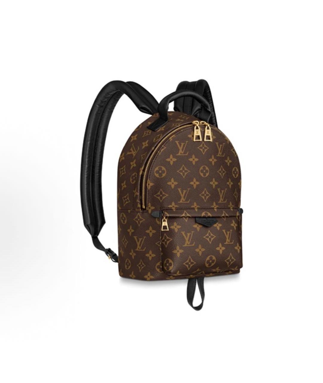 LOUIS VUITTON Рюкзак, фото 9