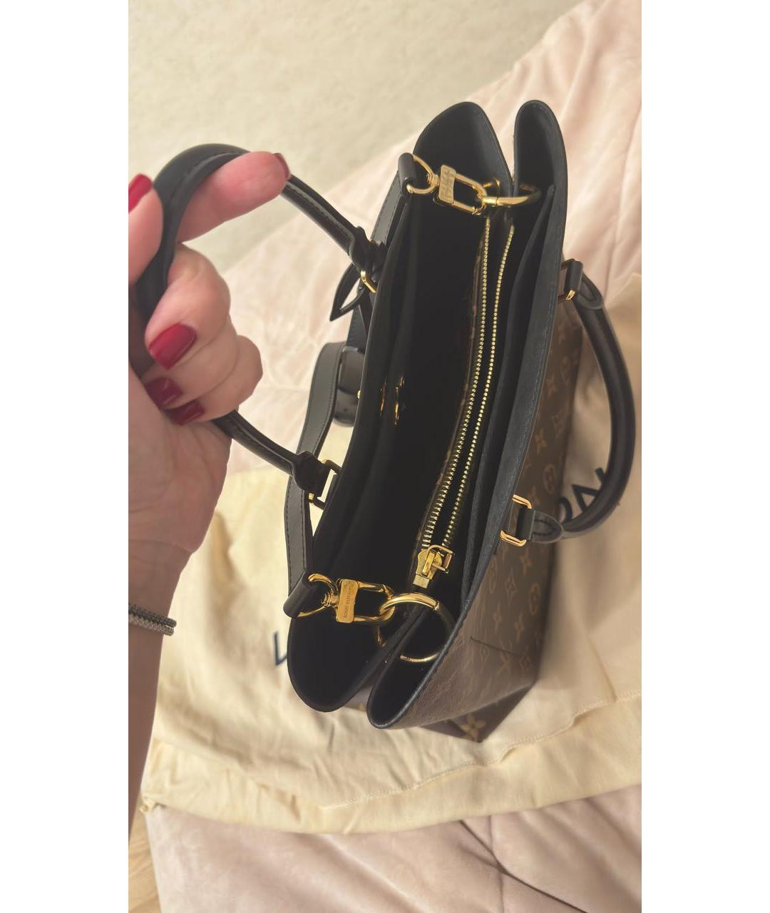 LOUIS VUITTON Коричневая сумка тоут, фото 4