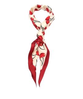 COACH Аксессуары для сумок