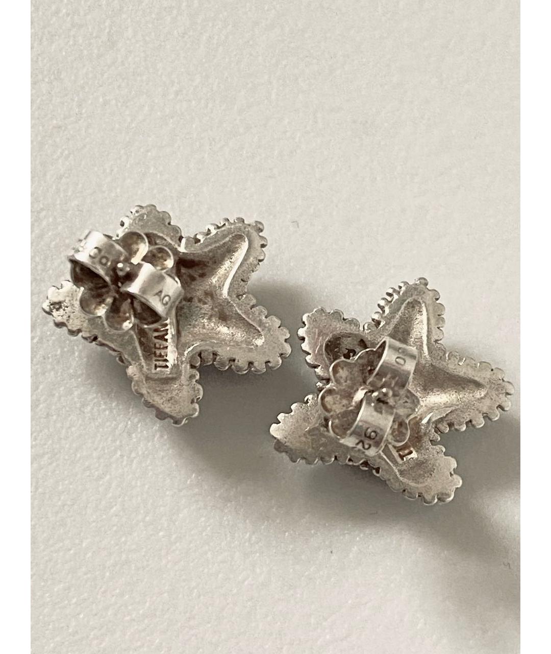 TIFFANY&CO Серебряные серебряные серьги, фото 3