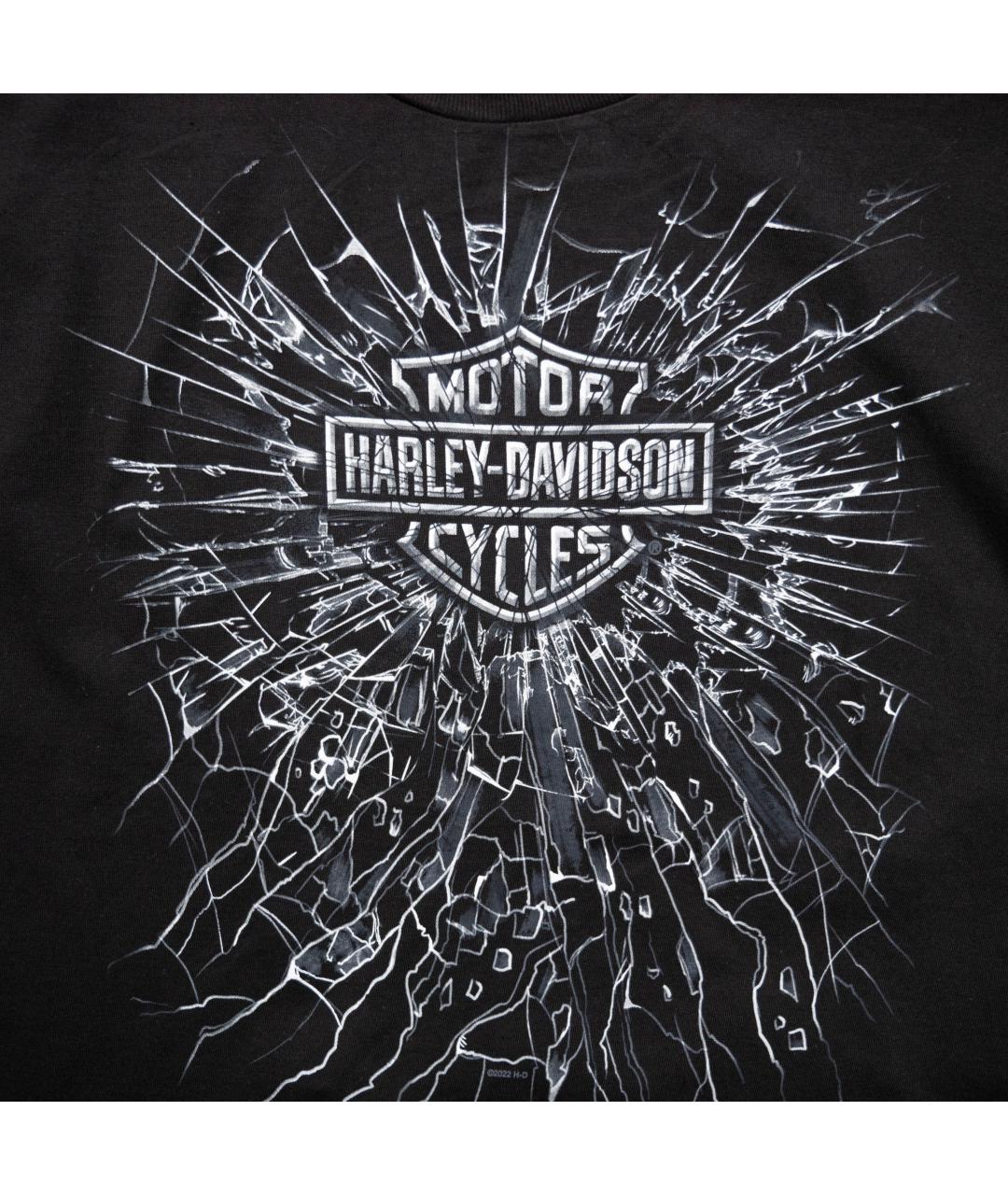 Harley Davidson Черная хлопковая футболка, фото 3