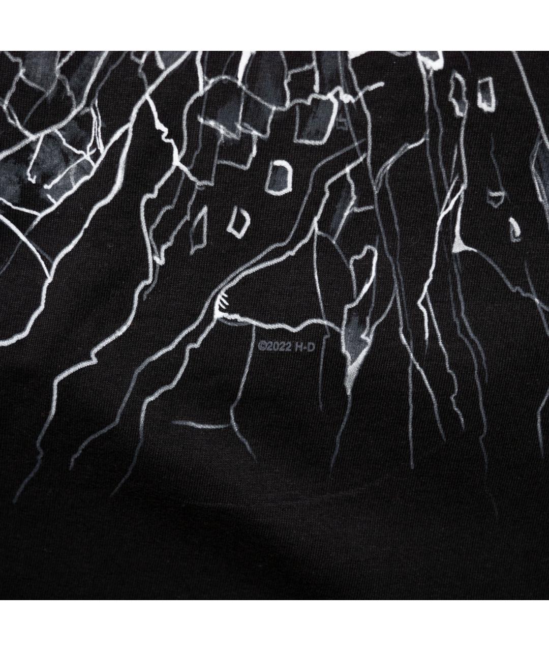 Harley Davidson Черная хлопковая футболка, фото 5