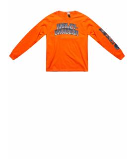 Harley Davidson Лонгслив