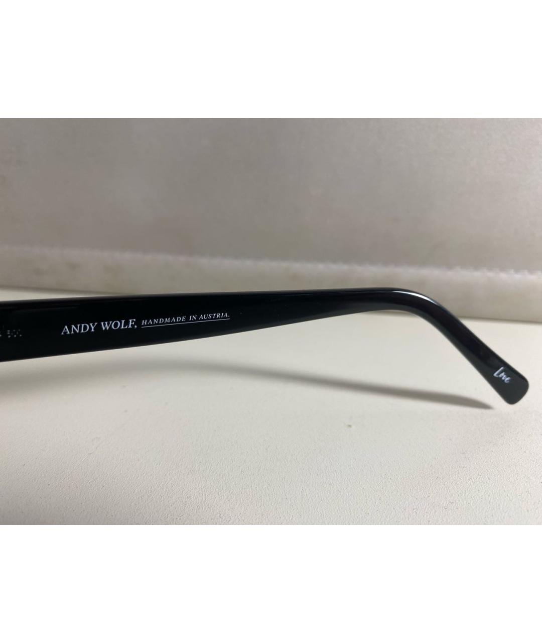 ANDY WOLF EYEWEAR Черные пластиковые солнцезащитные очки, фото 4