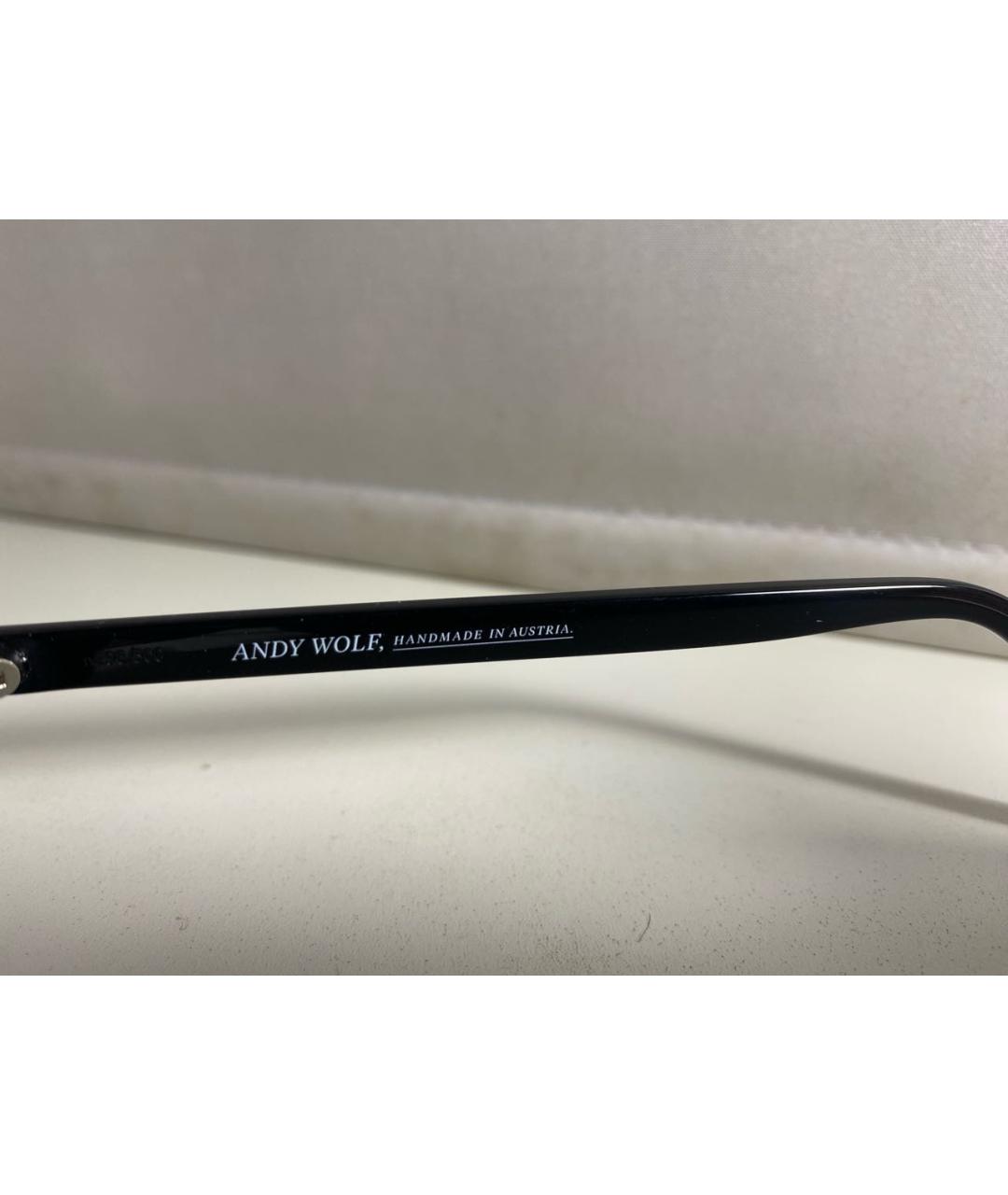 ANDY WOLF EYEWEAR Черные пластиковые солнцезащитные очки, фото 6