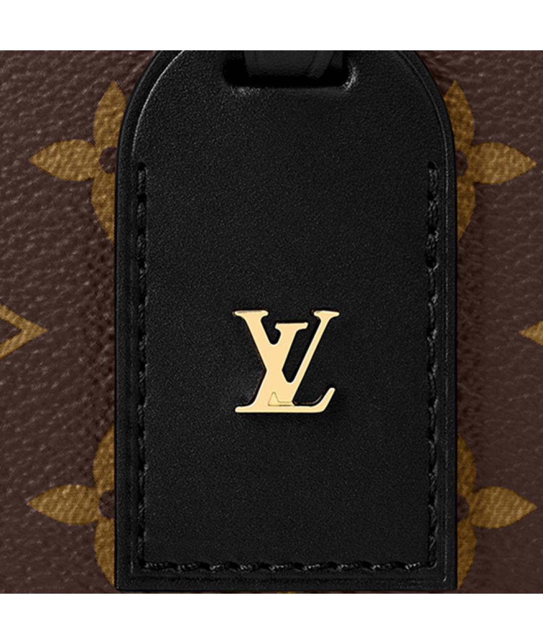 LOUIS VUITTON Коричневая сумка через плечо, фото 4