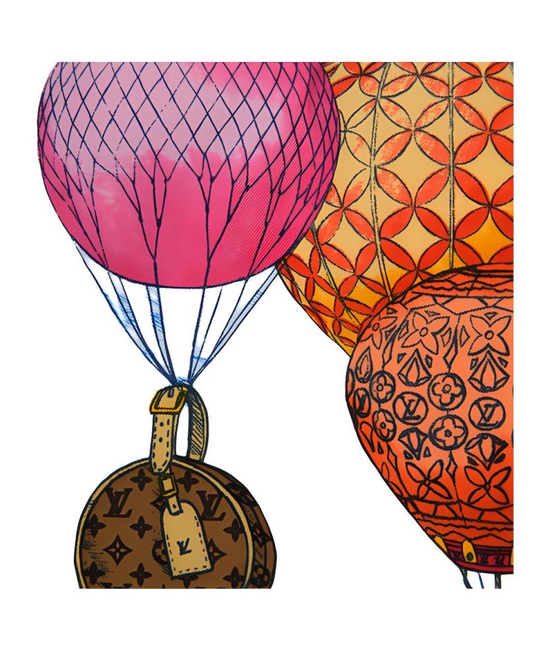 LOUIS VUITTON Мульти шарф, фото 2