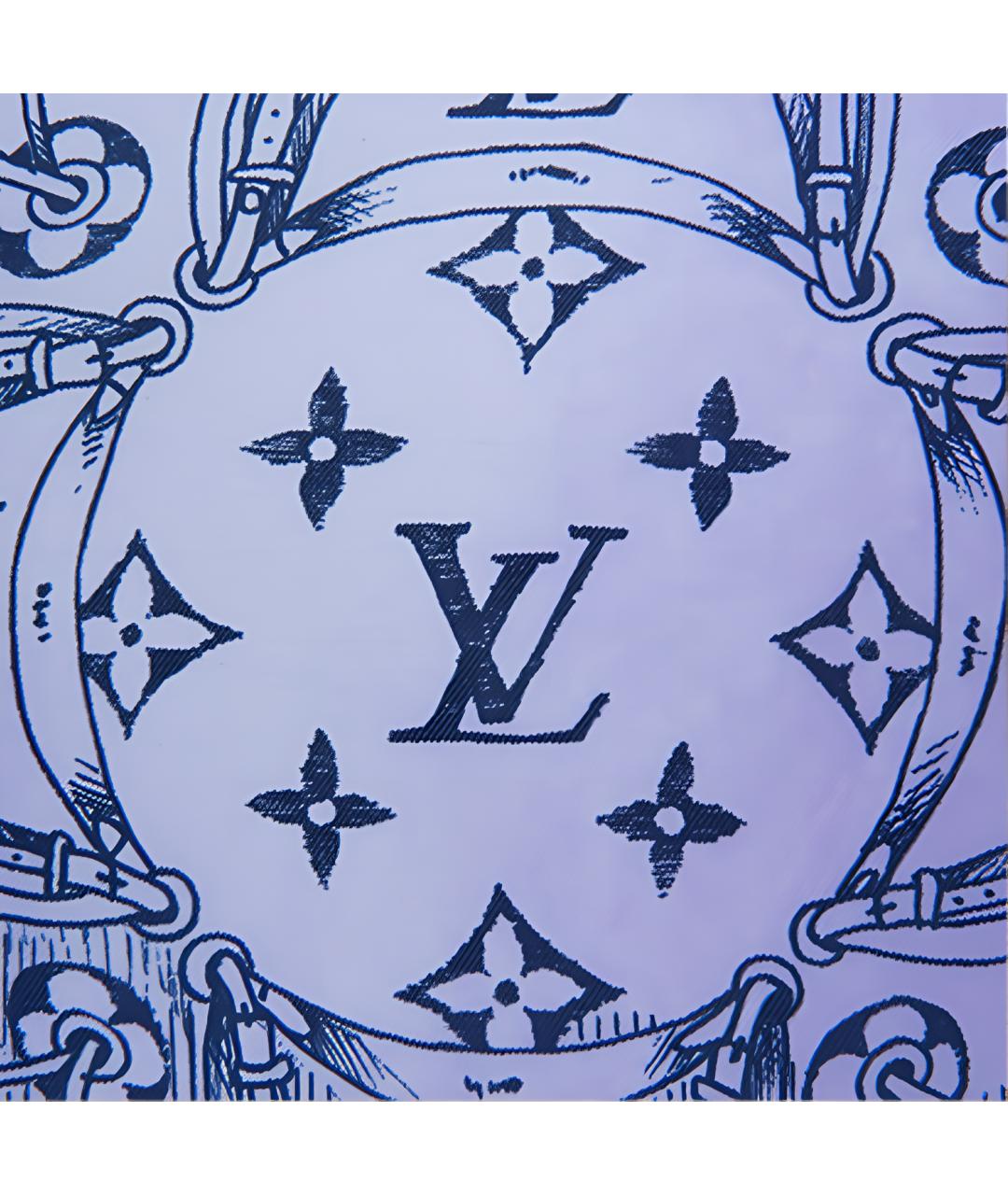 LOUIS VUITTON Мульти шарф, фото 3