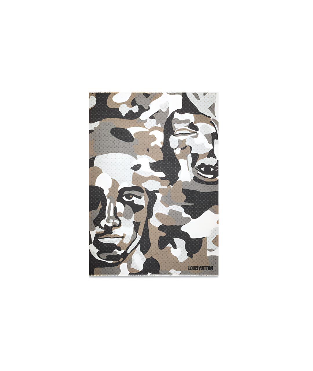 LOUIS VUITTON Мульти шарф, фото 3