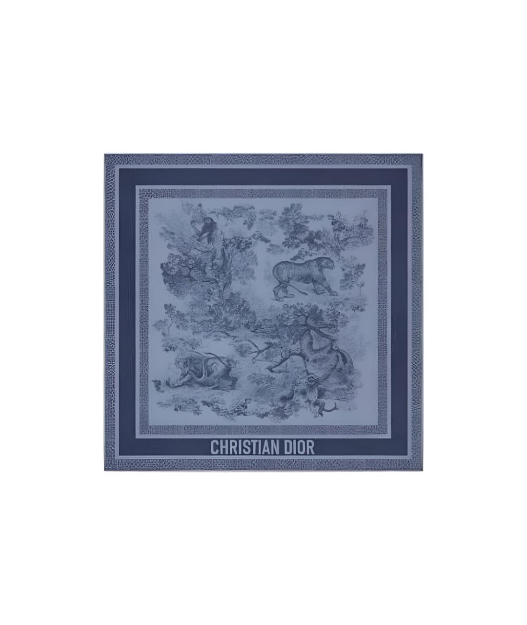 CHRISTIAN DIOR Синий шарф, фото 4