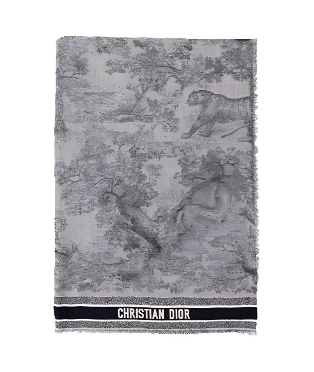 CHRISTIAN DIOR Синий шарф, фото 1