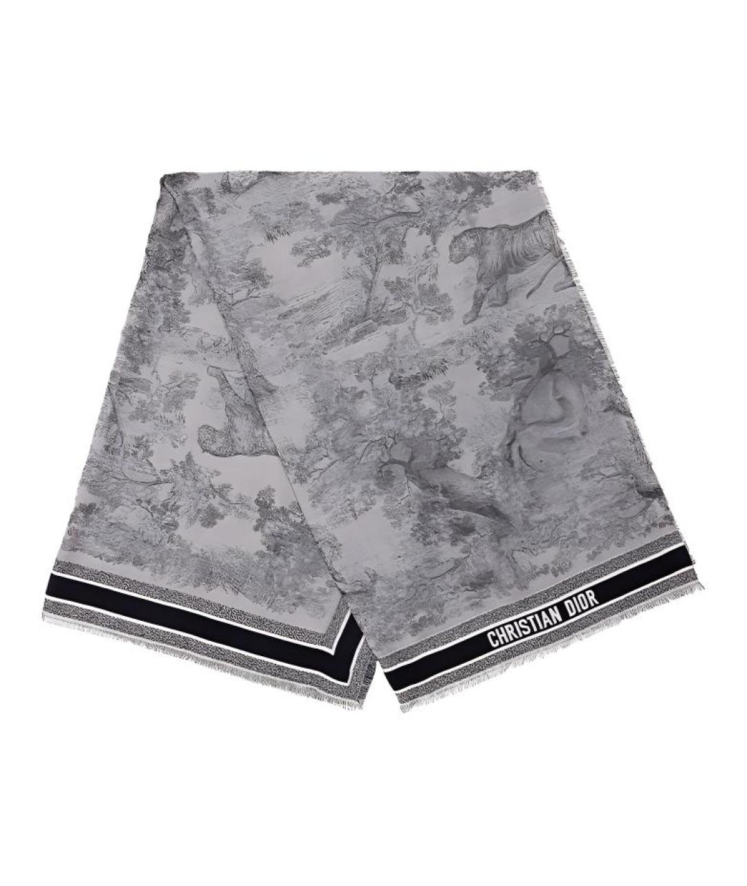 CHRISTIAN DIOR Синий шарф, фото 2