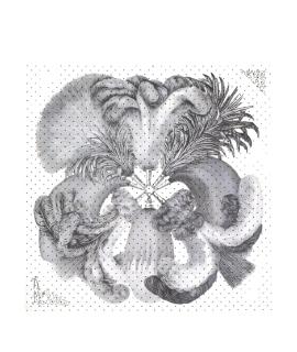 HERMES Шарф