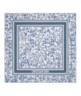 CHRISTIAN DIOR Шарф