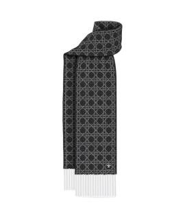 CHRISTIAN DIOR Шарф