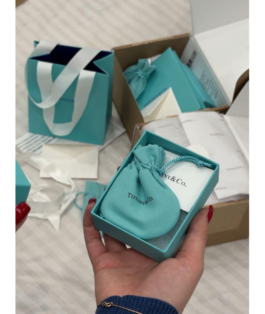 TIFFANY&CO Серебряные серебряные серьги, фото 7