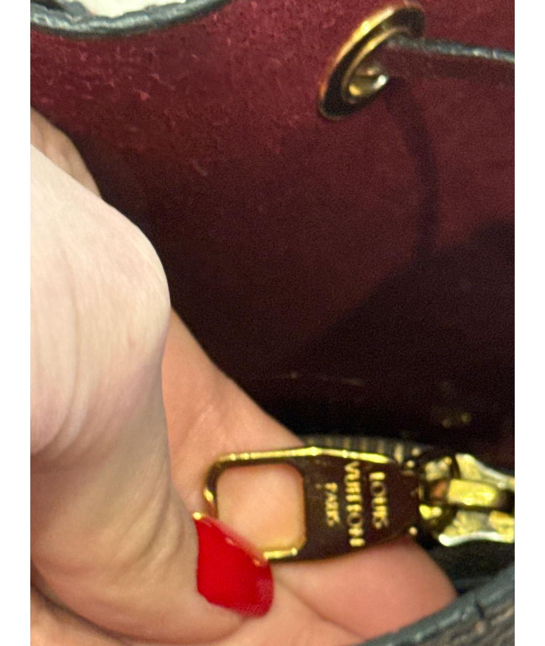 LOUIS VUITTON Коричневая сумка тоут, фото 8