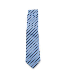 ZEGNA Галстук